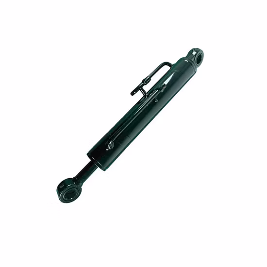 Qingdao Ruilan Supply Welded Electric Hydraulic Cylinder with Competive Price