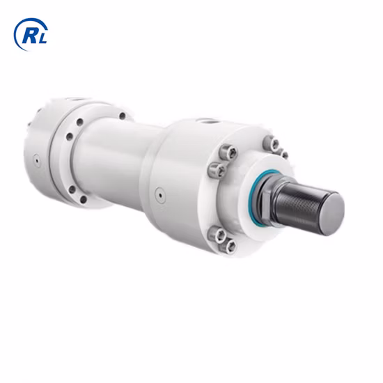 青島瑞蘭は競争力のある価格の溶接電動油圧シリンダーを供給します